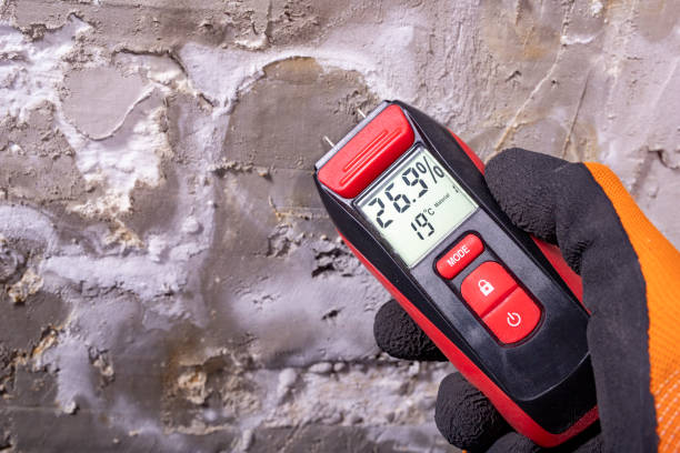 Best Water Damage Restoration  in Winchester, IL