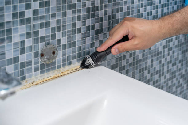 Reliable Winchester, IL Mold Removal Solutions